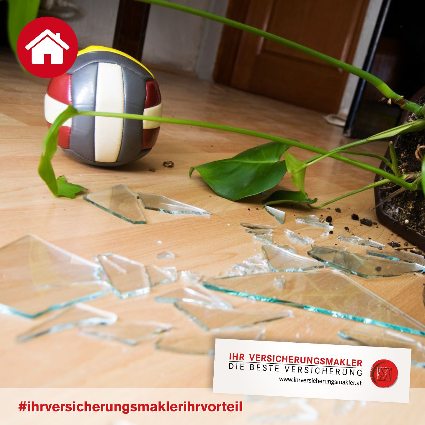 Seeblickmakler, Versicherungsmakler, Lochau, Reiseversicherung, Wohnmobilversicherung, Private Haftpflichtversicherung