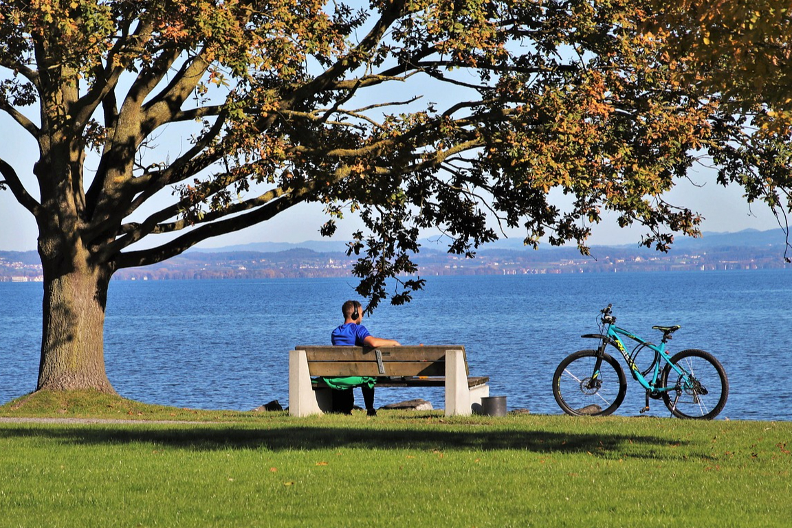 Seeblick, unabhängiger Versicherungsmakler, Josef Mager, Versicherungskosten analysieren, Vorarlberg, Lochau