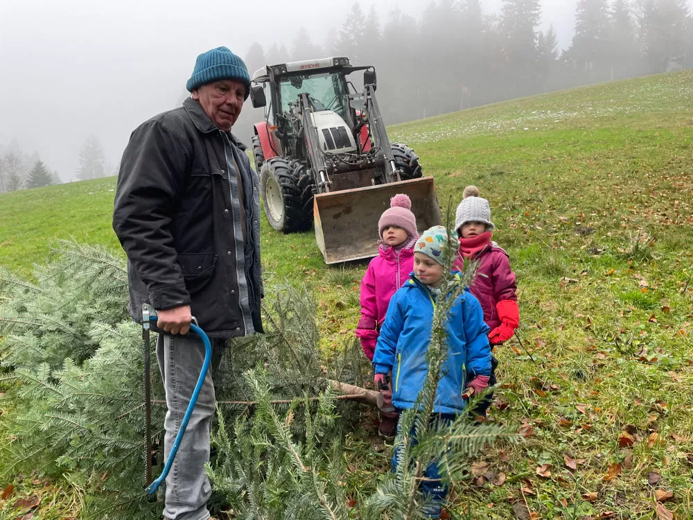 Josef Mager, Seeblickmakler, Versicherungsmakler am Bodensee